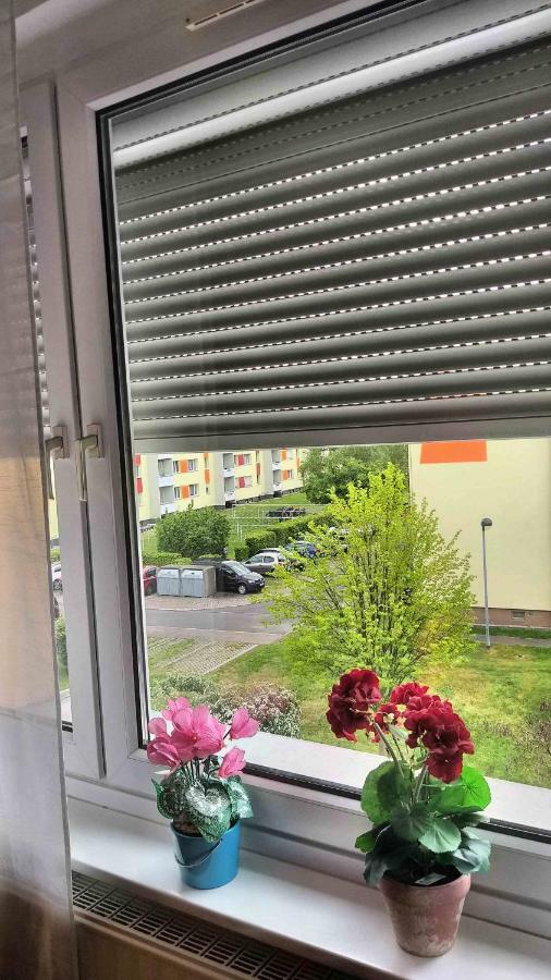 Komfort Ferienwohnungen Zwenkauer See Экстерьер фото